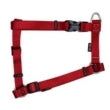 Zeus Figure-H Dog Harness