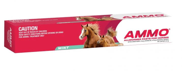 Ammo Horse Wormer Paste 32.5G