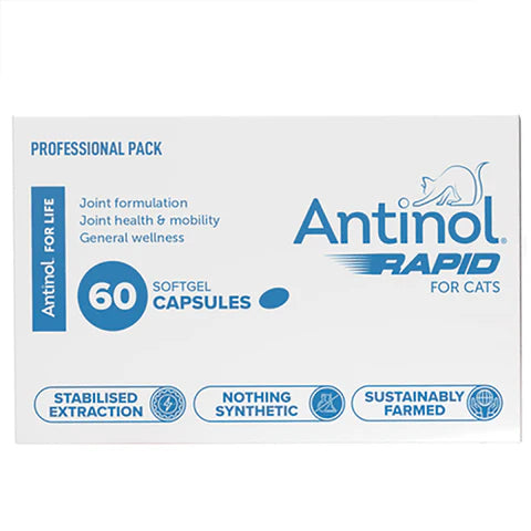 Antinol Rapid for Cats 60 Pack