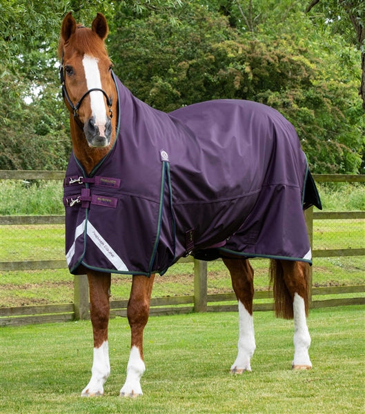 Premier Equine Buster Hardy 100g Half Neck Turnout Rug