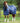 Premier Equine Combo Stable Rug 400g