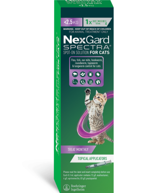 Nexgard Spectra For Small Cats 0.8-2.4kg Single