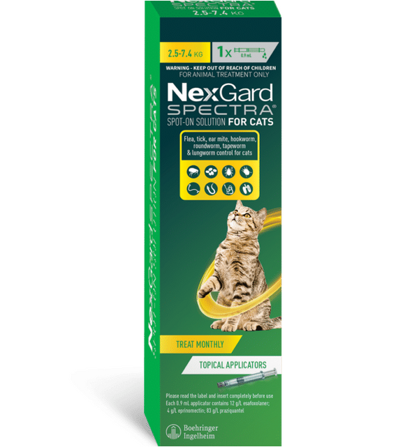Nexgard Spectra For Large Cats 2.5-7.4kg Single