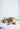 tabby cat lounding around white background
