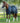 Premier Equine Tuscan Stable Rug 200g