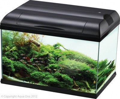 Aqua One Ecostyle 81 Aquarium Black 127L