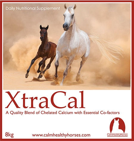 Calm Healthy Horses XtraCal 2kg