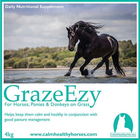 Calm Healthy Horses GrazeEzy 4kg