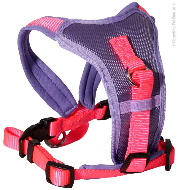 Pet One Dog Harness Padded Purple/Pink X-Small