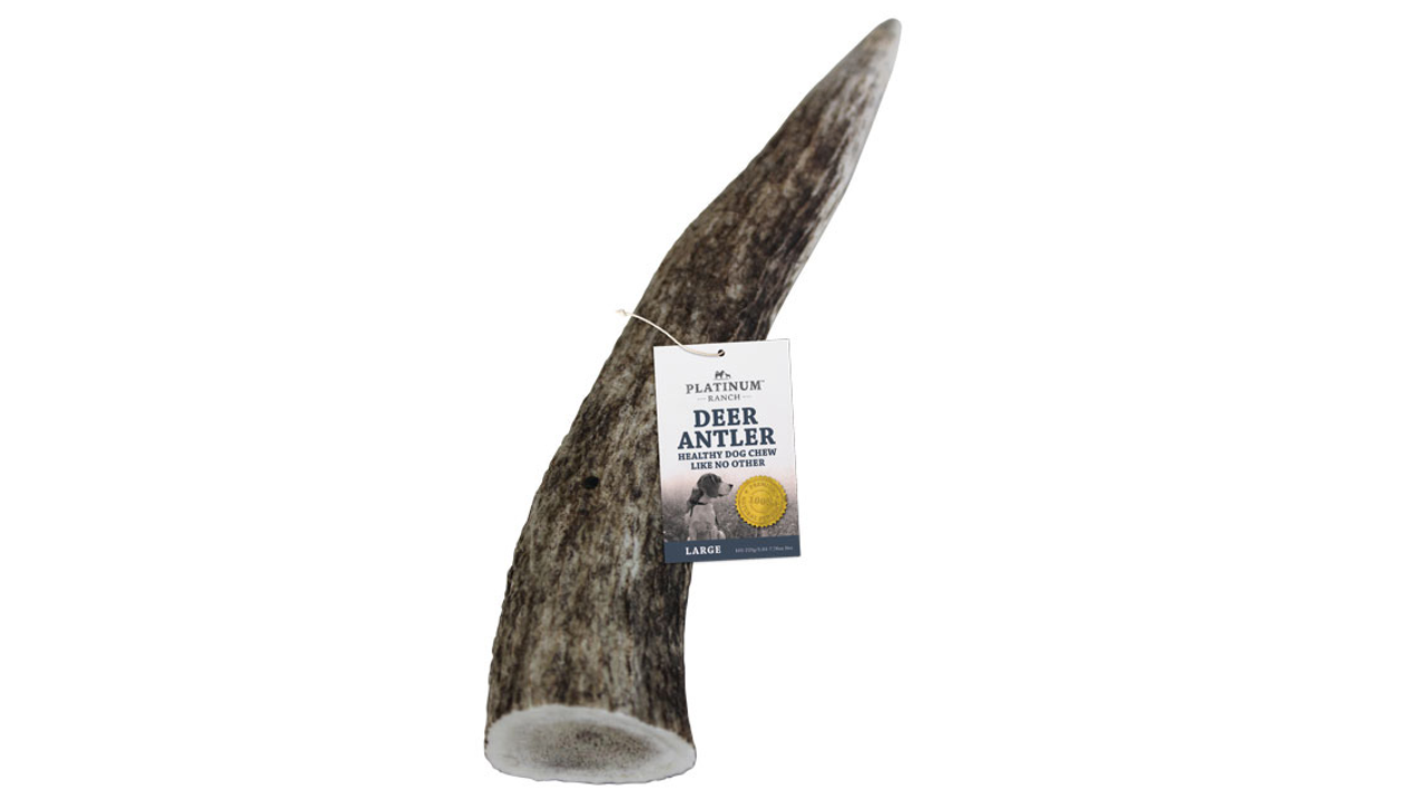 Platinum Ranch Deer Antler Loose Large