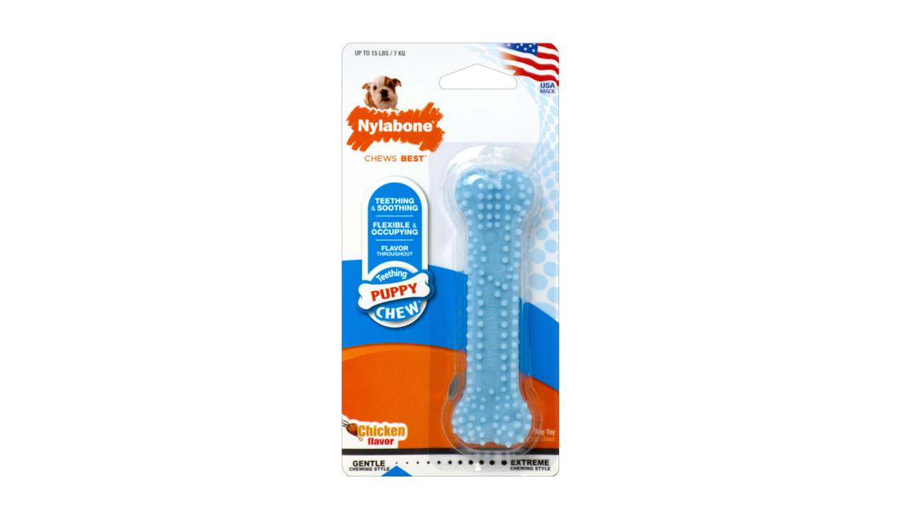 Nylabone Puppy Dental Chew Blue