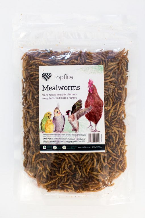 Topflite Dried Mealworms 125G