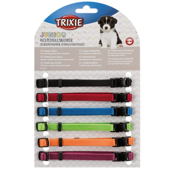 Trixie 2024 dog collar