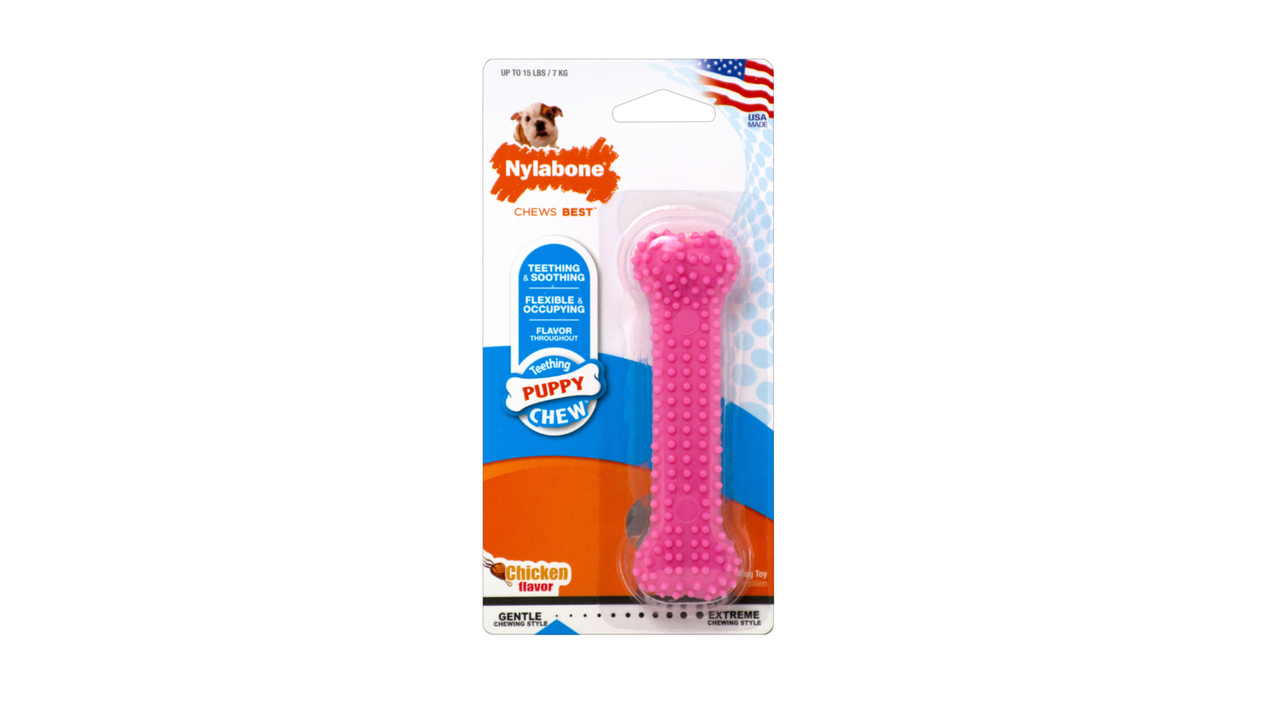 Nylabone Puppy Dental Chew Pink