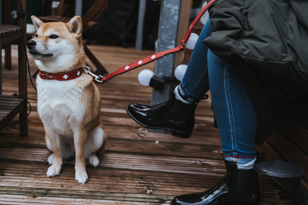 Hunter Swiss Leash Red - 18/100