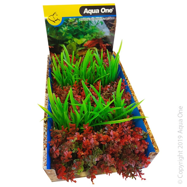 Aqua One Ecoscape Foreground Catspaw R/Lilaeopsis GN Mix Punnet Single