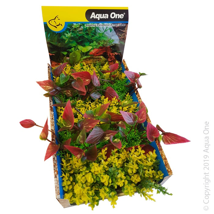 Aqua One Ecoscape Foreground Catspaw Yl/lilly R Mix Punnet Single