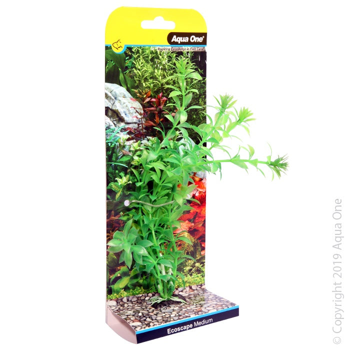 Aqua One Ecoscape Medium Ludwigia Green