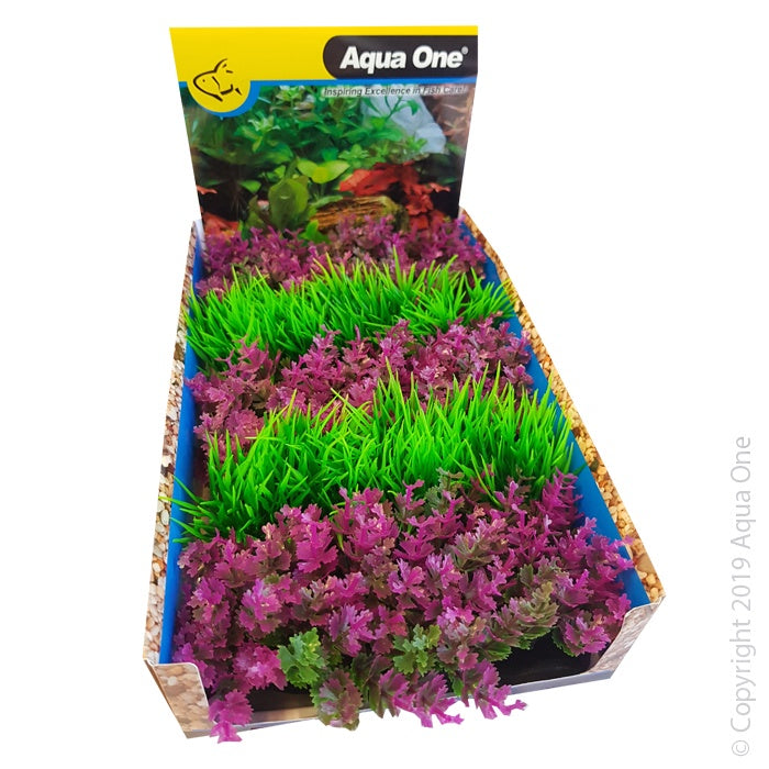 Aqua One Ecoscape Foreground Catspaw Pk/Hairgrass GN Mix Punnet Single