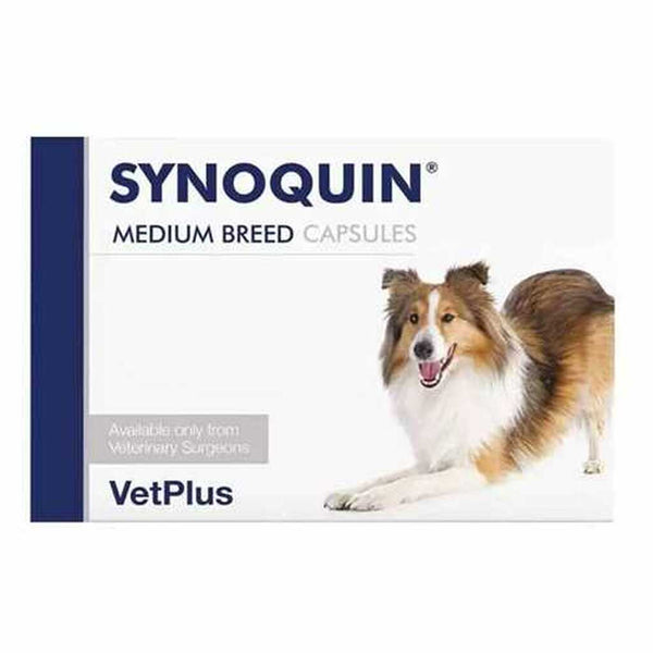 Synoquin Medium Dog Capsules 30 Pack