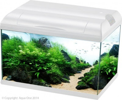 Aqua One Ecostyle 61 Aquarium White 70L