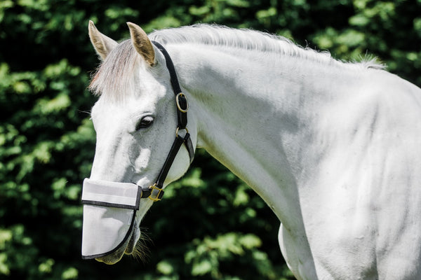 Flair Sola Shade Nose Guard Hack