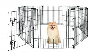 Yours Droolly Exercise Pen 24"