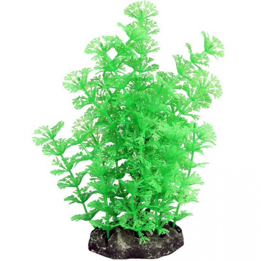 Aqua One Ecoscape Medium Ambulia Green Planter