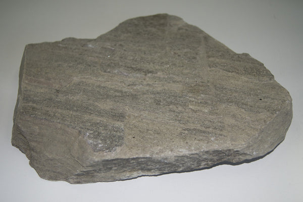 Schist Rock Large Single