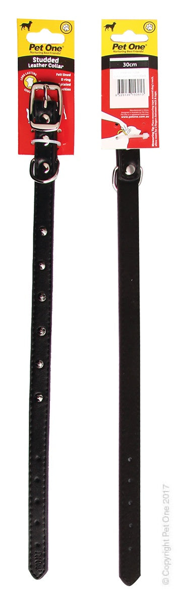 Pet One Single Row Studded Dog Collar Black