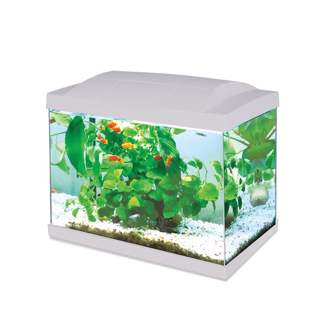 Hailea K60 LED Aquarium White 60L