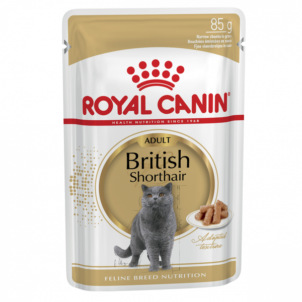 Royal Canin British Shorthair Adult 85G 12 Pack