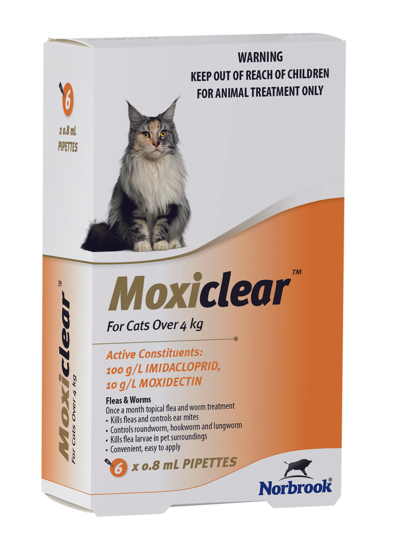 Moxiclear For Cats Over 4kg