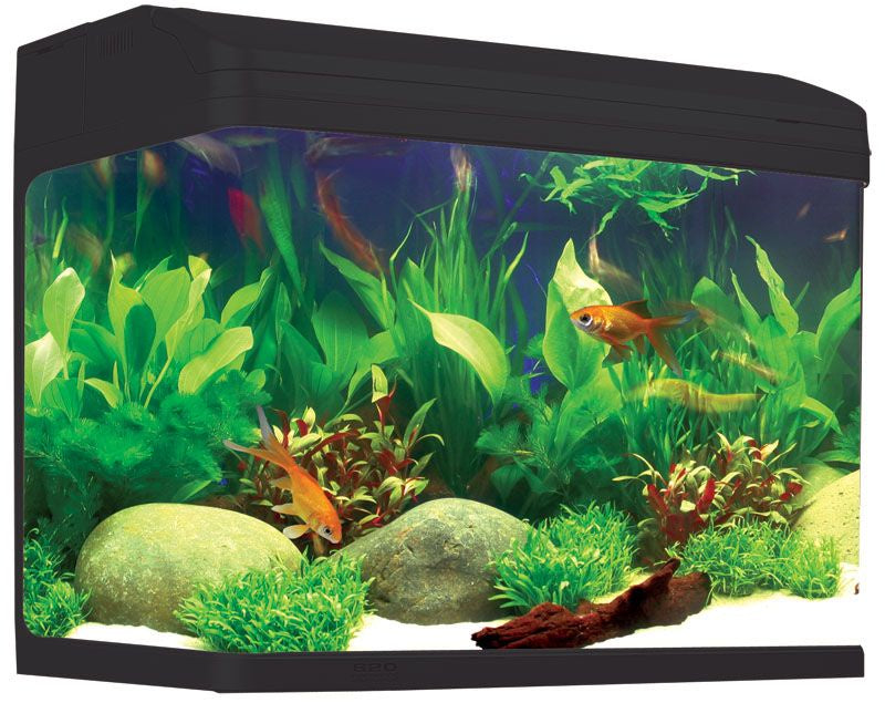 Aqua One AR620 AquaStyle Aquarium Black 90L - Fish Tanks & Cabinets 