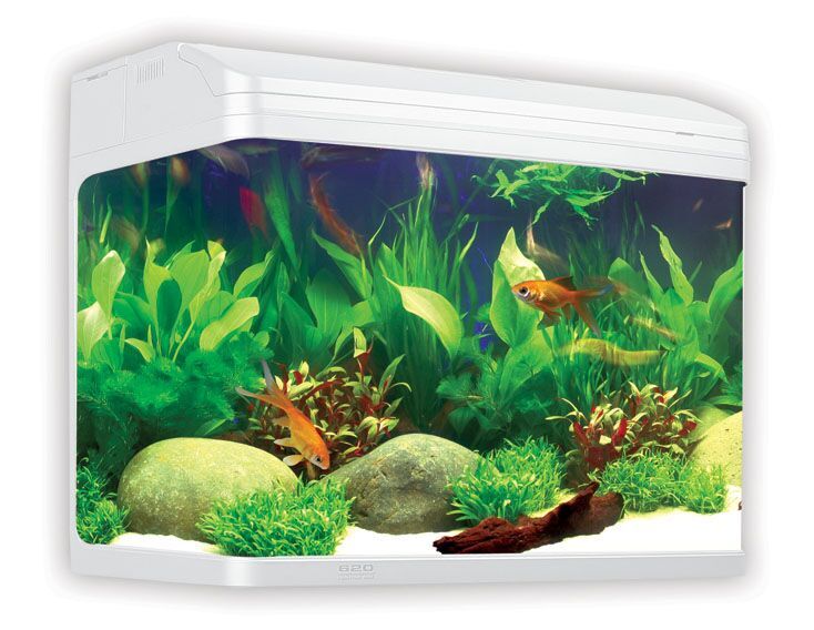 Aqua One AR620 Aquastyle Aquarium White 90L - Fish Tanks & Cabinets 