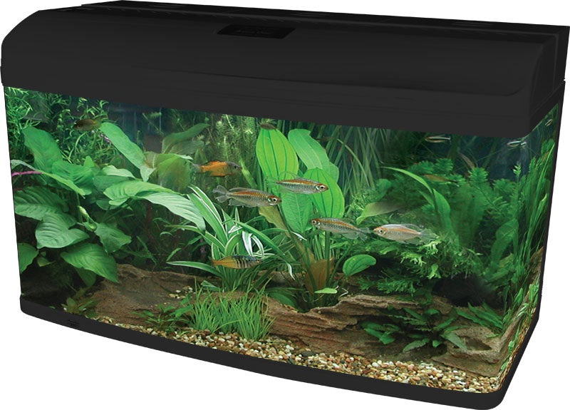Aqua One AquaStyle AR980 Aquarium Black 215L - Fish Tanks & Cabinets 