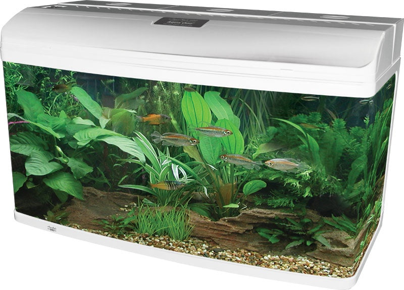 Aqua One AquaStyle AR980 Aquarium White 215L - Fish Tanks & Cabinets 