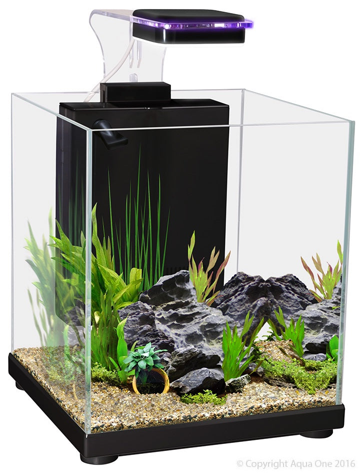 Aqua One Betta Sanctuary Glass Aquarium Black 10L - Fish Tanks & Cabinets 