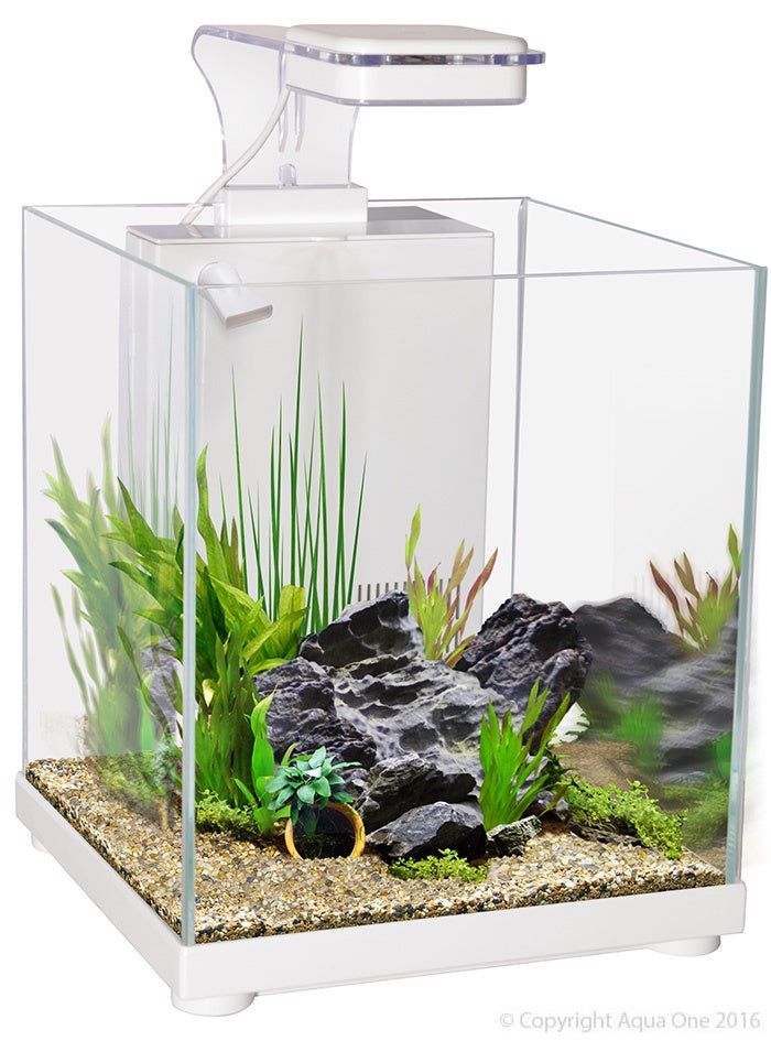 Aqua One Betta Sanctuary Glass Aquarium White 10L - Fish Tanks & Cabinets 