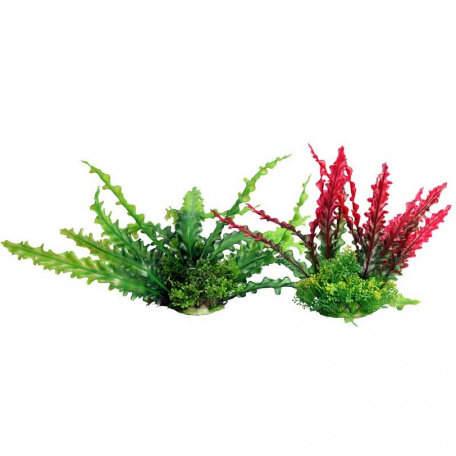 Aqua One Ecoscape Ruffled Lace Plant Green Medium - Fish Tank Decorations 