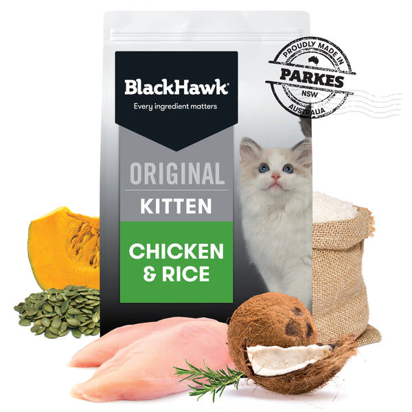BlackHawk Kitten Chicken