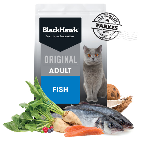 BlackHawk Adult Cat Fish