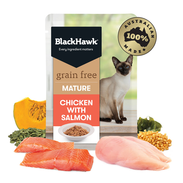 BlackHawk Mature Cat Grain Free Chicken & Salmon 85G