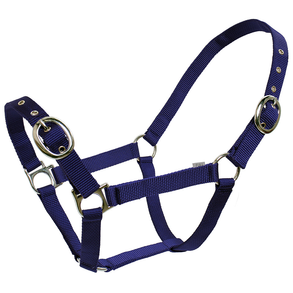 Blue Tag Web Halter