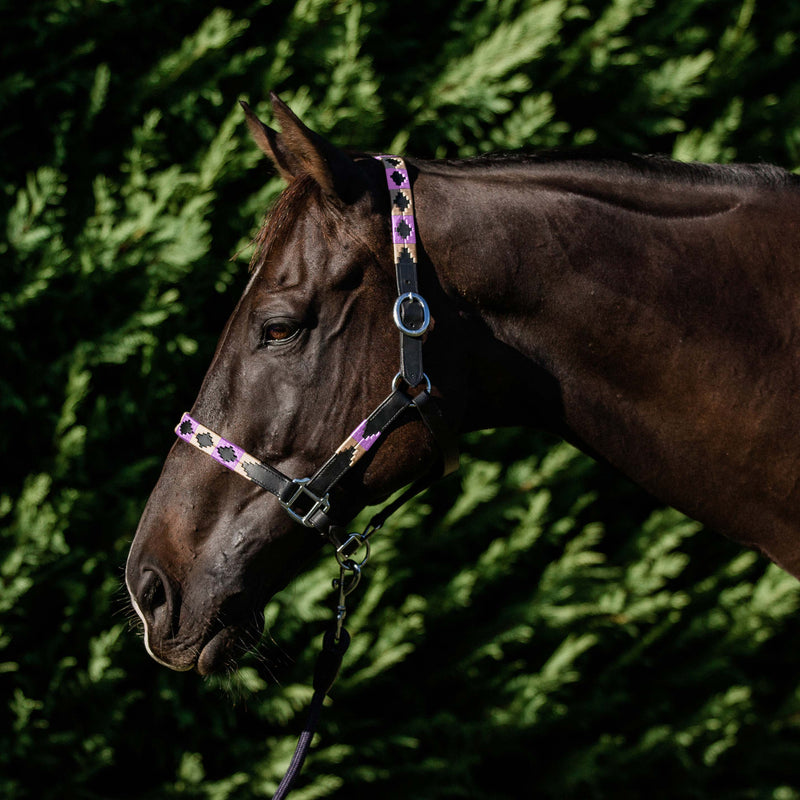 Double Hill Leather Polo Halter