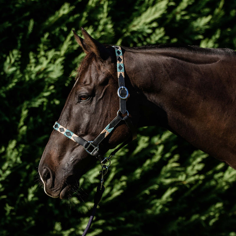 Double Hill Leather Polo Halter