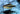 Black Neon Tetra - Live Fish & Plants 