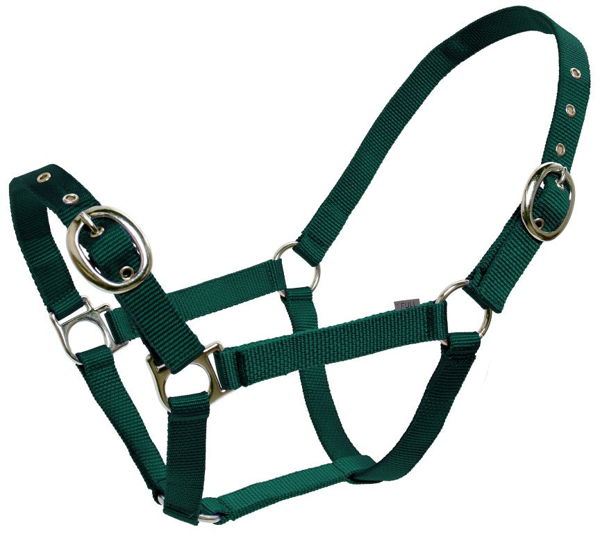 Blue Tag Web Halter - Equine Horse Wear 