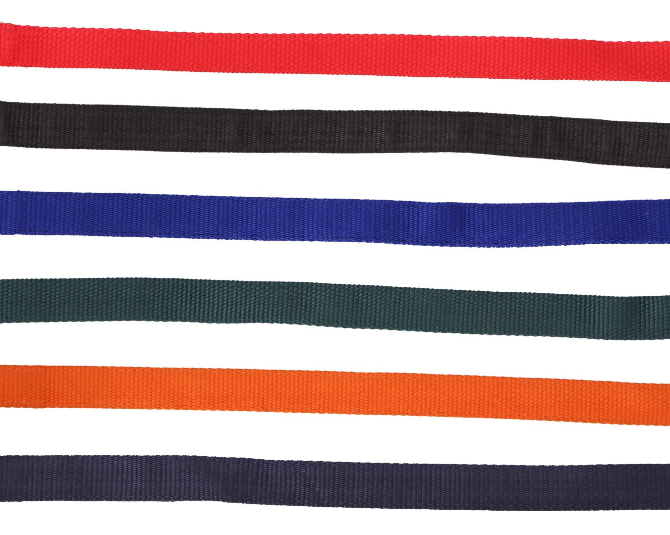 Blue Tag Web Halter - Equine Horse Wear 