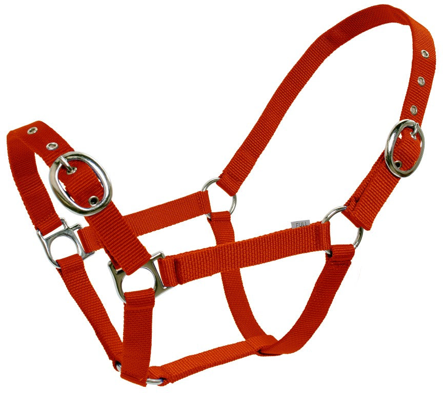 Blue Tag Web Halter - Equine Horse Wear 